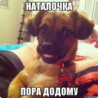 наталочка пора додому