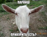 парниш прикурить есть?
