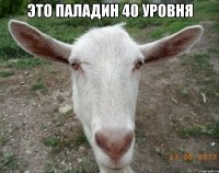 это паладин 40 уровня 
