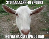 это паладин 40 уровня когда на сервера 50 кап