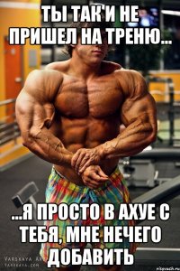 ты так и не пришел на треню... ...я просто в ахуе с тебя, мне нечего добавить
