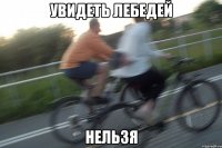 увидеть лебедей нельзя