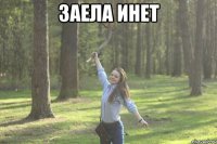 заела инет 