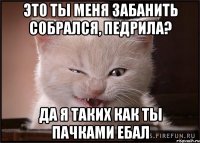 это ты меня забанить собрался, педрила? да я таких как ты пачками ебал