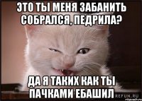 это ты меня забанить собрался, педрила? да я таких как ты пачками ебашил