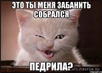 это ты меня забанить собрался педрила?