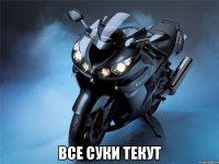  все суки текут