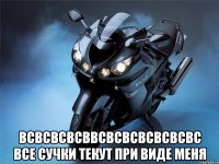  всвсвсвсввсвсвсвсвсвсвс все сучки текут при виде меня