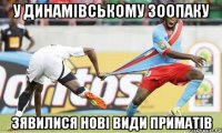 у динамівському зоопаку зявилися нові види приматів