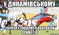 у динамівському зоопаку зявилися нові види приматів