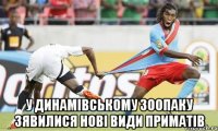  у динамівському зоопаку зявилися нові види приматів