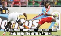  у динамівському зоопаку зявилися нові види приматів мбокані