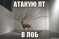 атакую пт в лоб