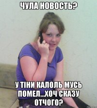 чула новость? у тіни калоль мусь помел...хоч сказу отчого?