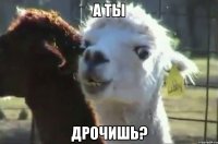 а ты дрочишь?
