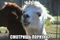 а ты смотришь порнуху?