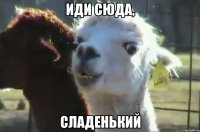 иди сюда, сладенький