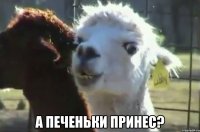  а печеньки принес?