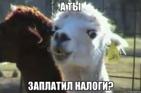 а ты заплатил налоги?