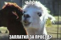 а ты заплатил за проезд?