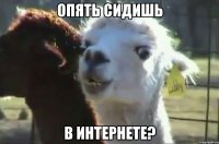 опять сидишь в интернете?