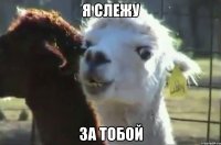 я слежу за тобой