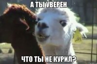 а ты уверен что ты не курил?