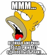 mmm... великая америка поддерживает однополые браки!