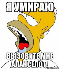 я умираю вызовите мне аланселот!