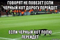 говорят не повезет если черный кот дорогу перейдет если черный кот полю перейдет