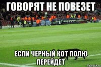 говорят не повезет если черный кот полю перейдет