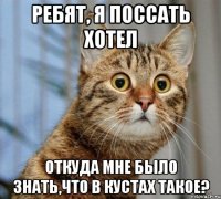 ребят, я поссать хотел откуда мне было знать,что в кустах такое?