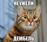 неужели дембель