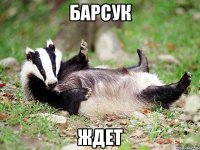 барсук ждет