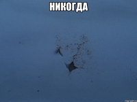 никогда 