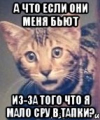 а что если они меня бьют из-за того что я мало сру в тапки?