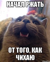 начал ржать от того, как чихаю