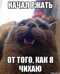 начал ржать от того, как я чихаю