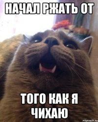 начал ржать от того как я чихаю
