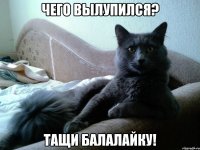 чего вылупился? тащи балалайку!