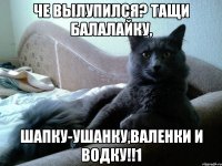 че вылупился? тащи балалайку, шапку-ушанку,валенки и водку!!1