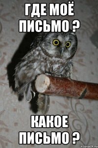 где моё письмо ? какое письмо ?