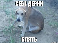 себе дерни блять