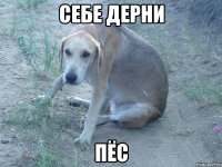 себе дерни пёс