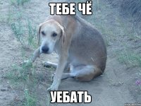 тебе чё уебать