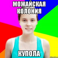 можайская колония купола