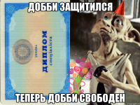 добби защитился теперь добби свободен