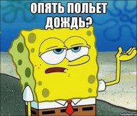 опять польет дождь? 