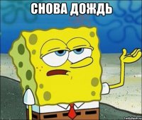снова дождь 