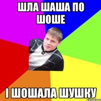 шла шаша по шоше і шошала шушку
